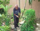 jardinero