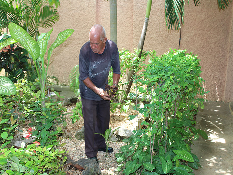 jardinero