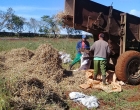 En la Finca El Retiro continúan las labores agrícolas
