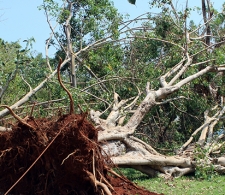 Afectaciones del huracán Irma en Cárdenas
