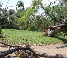 Daños provocados por huracán Irma en territorio cardenense