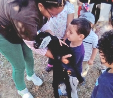 Durante la Actividad asistida con animales