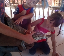 Acción del Programa Psicopastoral del CCRD-C. Actividad asistida con animales