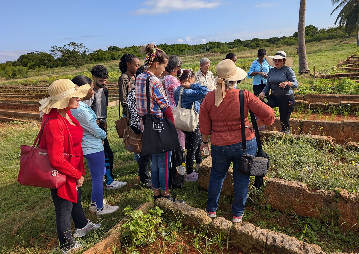 Como parte del Taller se visitó el Organopónico Naturaleza con Rostro de Mujer