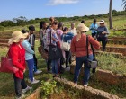 Como parte del Taller se visitó el Organopónico Naturaleza con Rostro de Mujer
