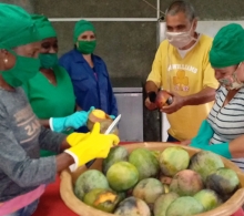 Mango y frutabomba troceados son parte de las ofertas
