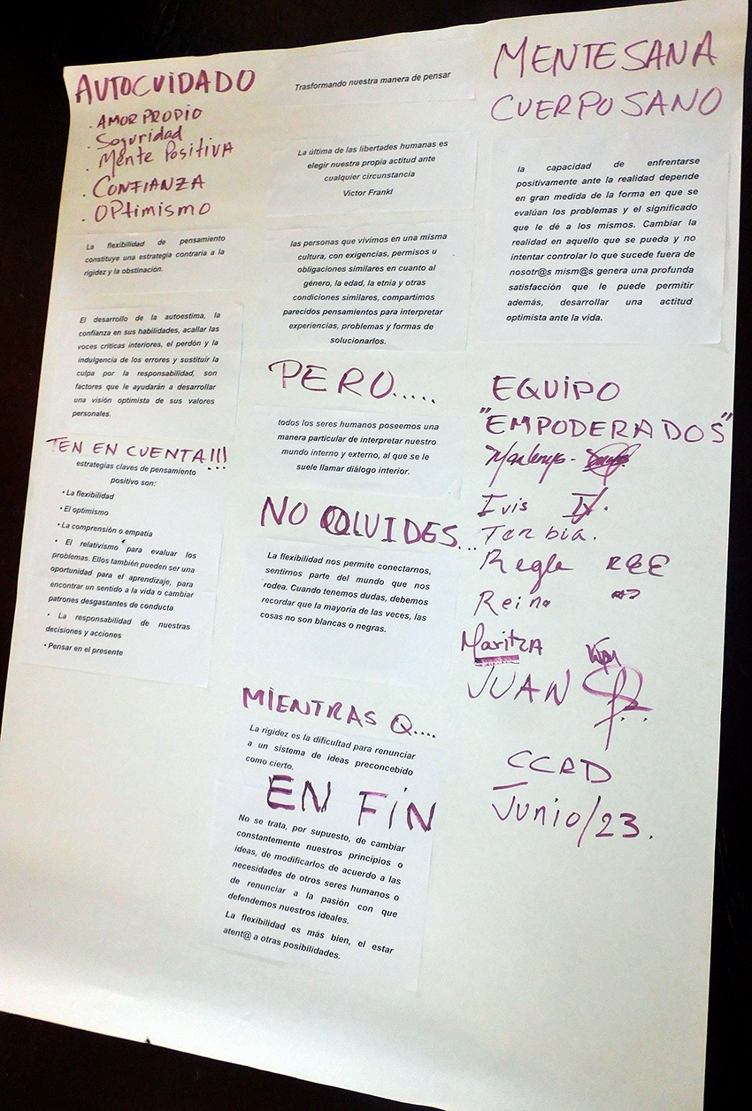 Resumen del intercambio de experiencias en lo que respecta al autocuidado cognitivo