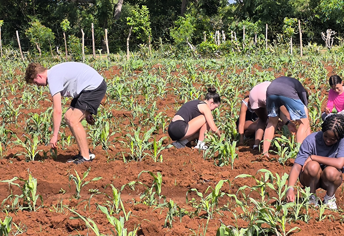 Compartieron una divertida jornada laboral en la finca
