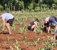 Compartieron una divertida jornada laboral en la finca