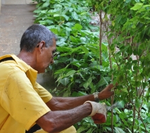 Mucho esmero es dedicado al cuidado de los jardines