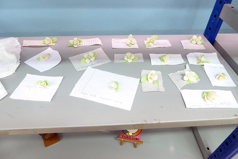 Modelaje realizado por los participantes.