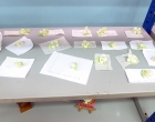 Modelaje realizado por los participantes.