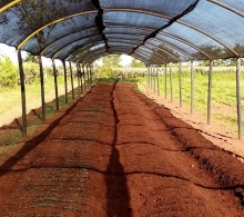 Finca El Retiro