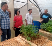 En una de las casas de cultivo tapado