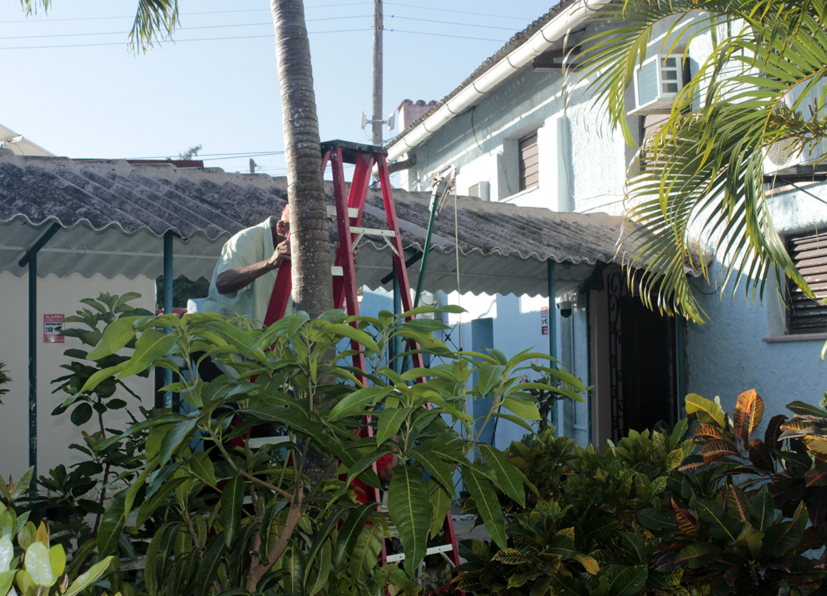 Mantenimiento y embellecimiento de los jardines del CCRD-Cuba