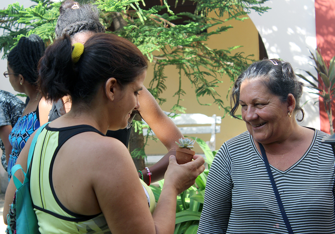 Reina González, jardinera del CCRD-Cuba habla sobre el cuidado correcto de las plantas que sembramos en casa