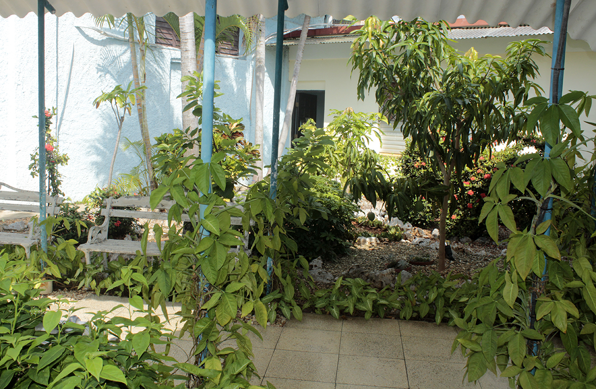 Uno de los pasillos del CCRD-Cuba, rodeado de naturaleza