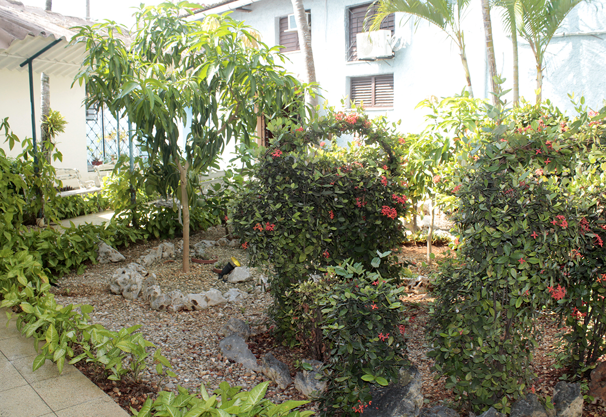 Una de las áreas del CCRD-Cuba donde se aprecia la belleza de sus jardines