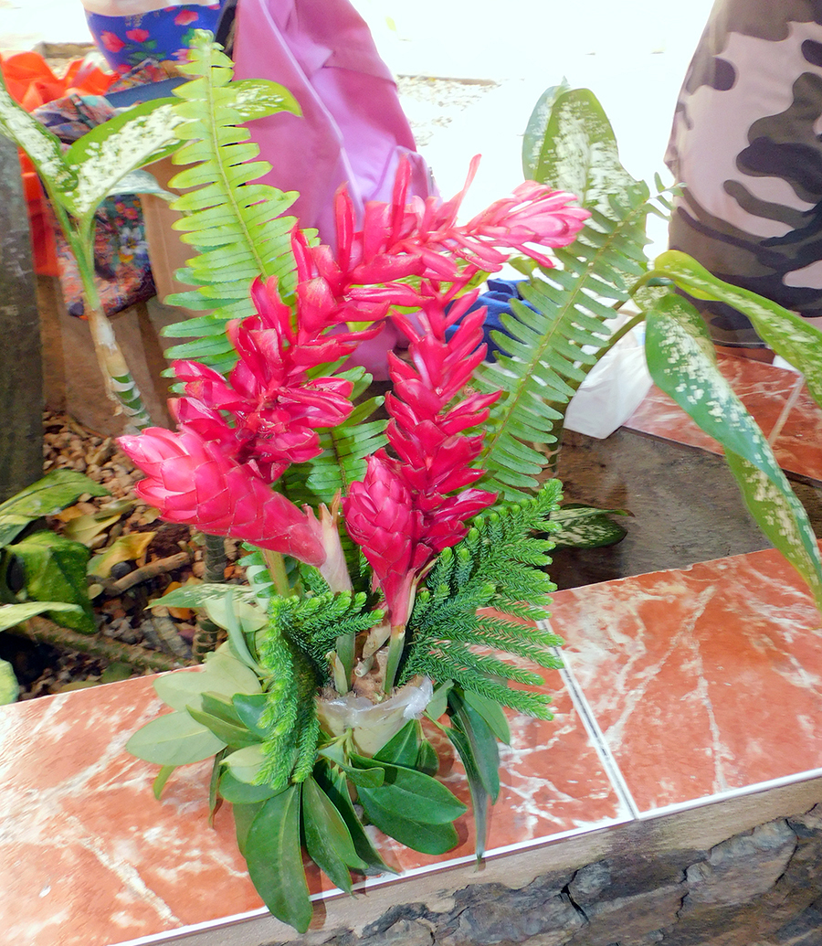 Adorno floral preparado por nuestra jardinera durante una clase demostrativa a los integrantes del Taller Habilidades para la vida