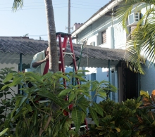 Mantenimiento y embellecimiento de los jardines del CCRD-Cuba