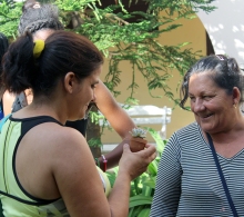 Reina González, jardinera del CCRD-Cuba habla sobre el cuidado correcto de las plantas que sembramos en casa