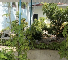Uno de los pasillos del CCRD-Cuba, rodeado de naturaleza