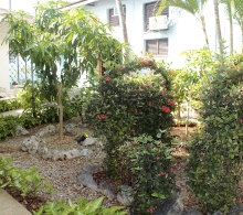 Una de las áreas del CCRD-Cuba donde se aprecia la belleza de sus jardines