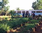 Grupo de Iglesia Unida de Woodlawn visitando la Finca El Retiro