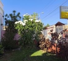 Centro de Rehabilitación del Neurodesarrollo Rosa Luxemburgo, en Cárdenas