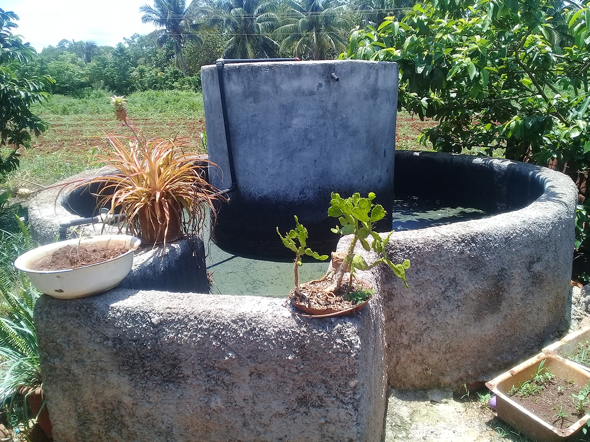 Biodigestor o planta de biogás construida en el 2019 en una finca campesina