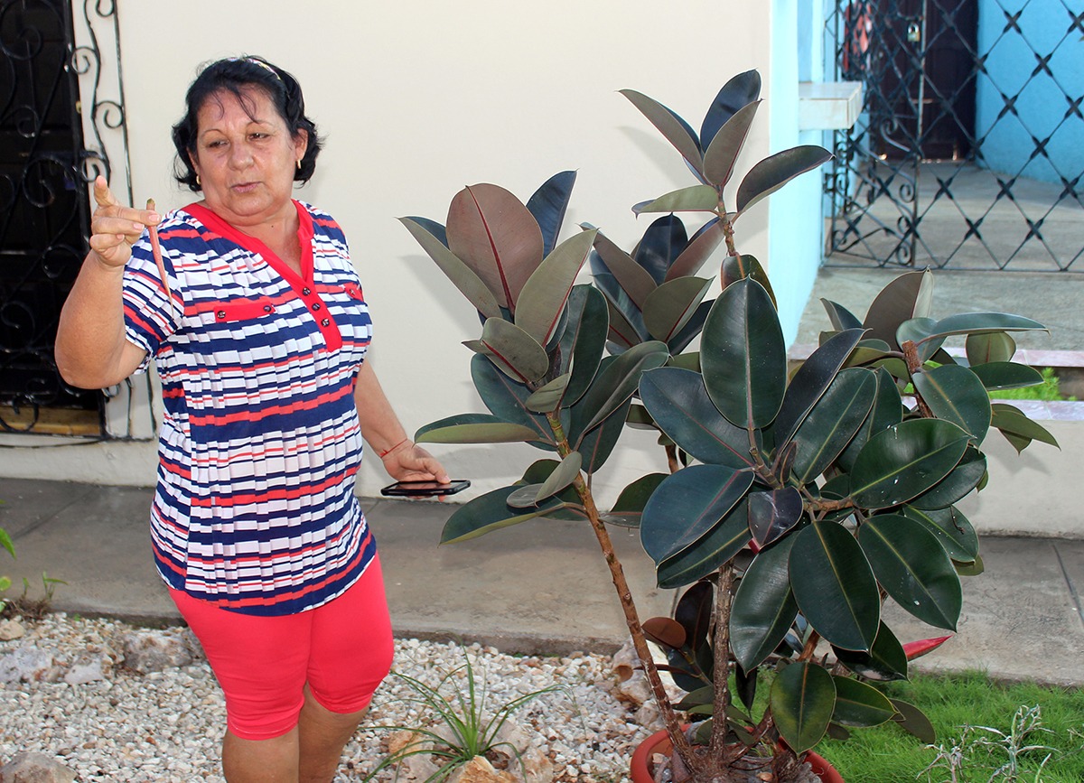 Reina González, jardinera del CCRD-Cuba, habló sobre el cuidado de las plantas y de su entorno