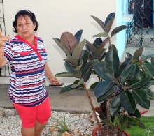 Reina González, jardinera del CCRD-Cuba, habló sobre el cuidado de las plantas y de su entorno