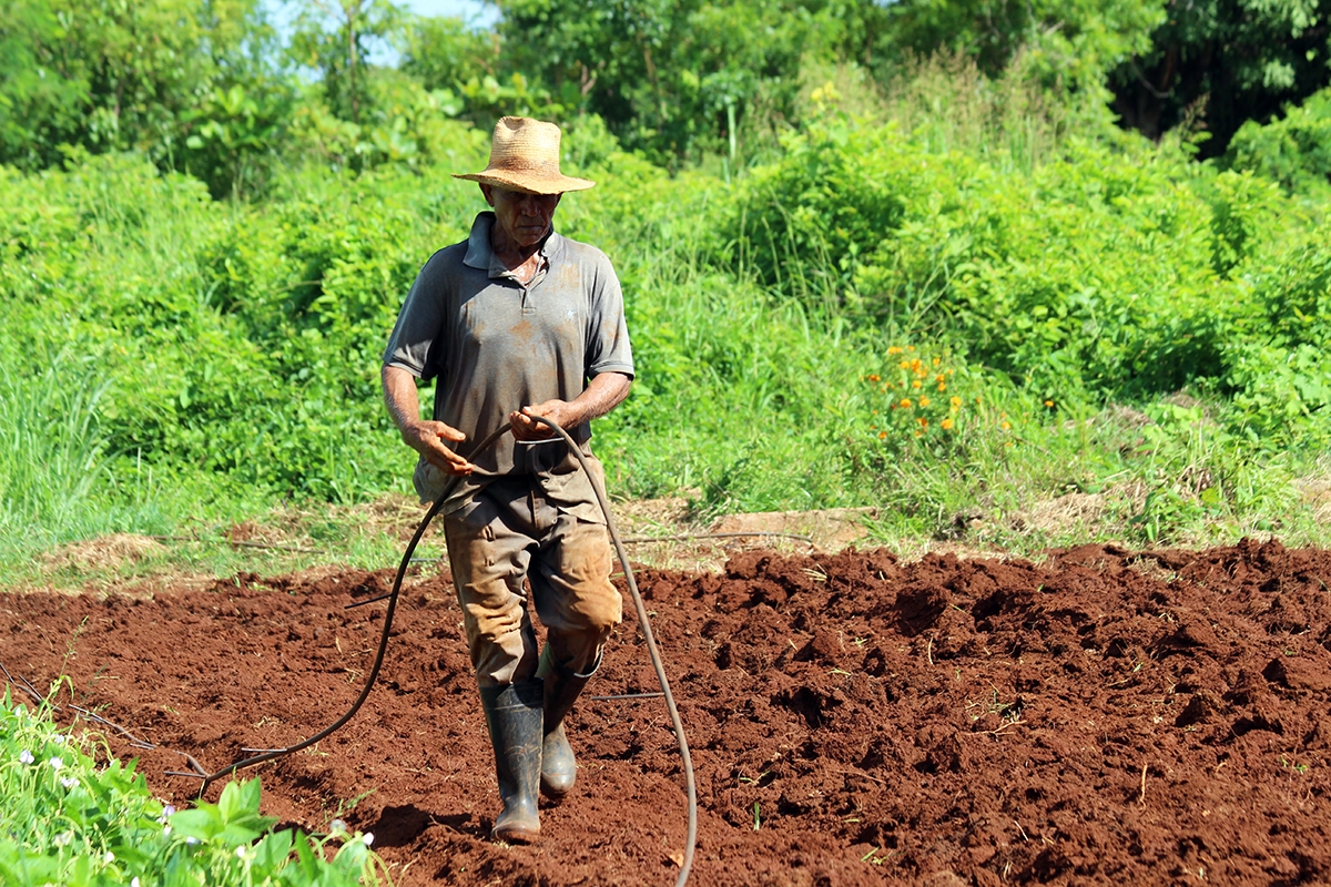 En la finca El Retiro se preparan las tierras para los cultivos de hortalizas