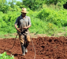 En la finca El Retiro se preparan las tierras para los cultivos de hortalizas