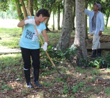 Trabajo de limpieza en las áreas de la finca El Retiro