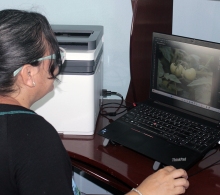 Lourmary Rodríguez, especialista del Departamento de Publicaciones y correctora de la revista
