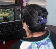 Trabajo con imágenes que se emplean en la revista