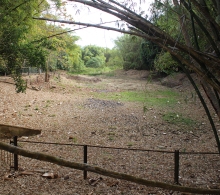 A buen paso va la limpieza de la laguna para verter agua más adelante y retomar la piscicultura