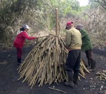 La producción de carbón vegetal permite un mejor aprovechamiento de la energía