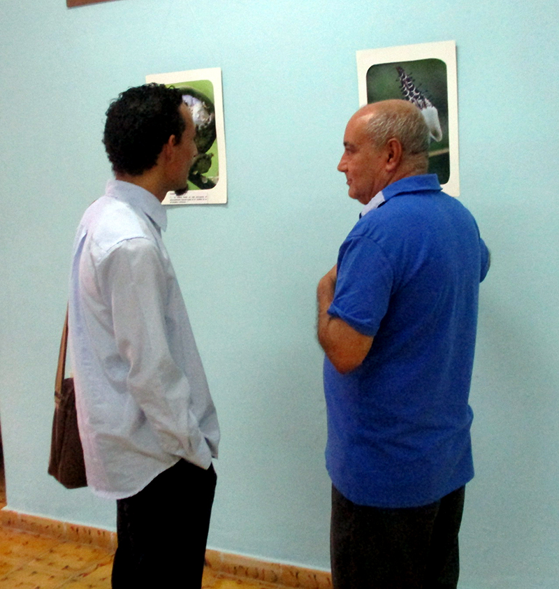 Exposición Traigo la estrella y la paloma, dedicada a José Martí
