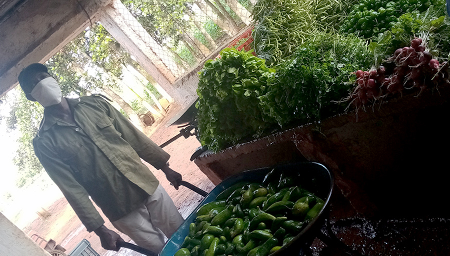 La diversidad de productos que se ofertan a la población interesó a la delegada territorial de la agricultura en Cárdenas