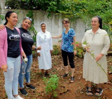 En el patio de la casa de las hermanas de la Iglesia Católica, han cosechado flor de Jamaica que obtuvieron en la finca El Retiro