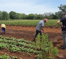 Algunos de los cultivos de la Finca El Retiro