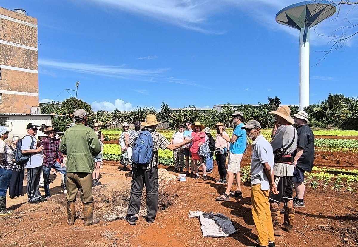 En el organopónico del reparto 13 de marzo de Cárdenas apreciaron la producción de vegetales y hortalizas típica de la siembra invernal