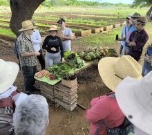 Lisi Delgado López, al frente del organopónico Naturaleza con rostro de mujer, muestra algunos de los productos obtenidos y habla sobre sus intenciones de diversificación