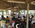 Actividad Ranchon