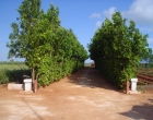 camino2