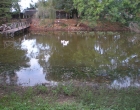 lago