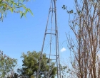 molino2