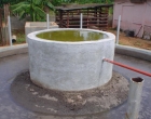 planta biogas2